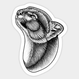 Jaguarundi - ink illustration Sticker